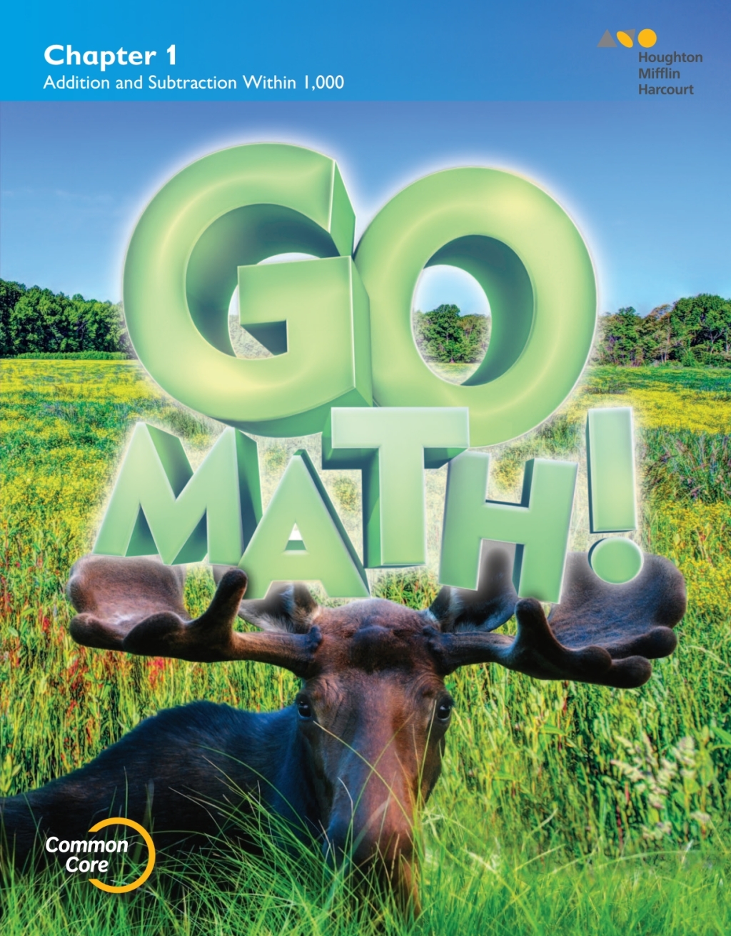 2015 Go Math! Student Edition Grade 3 1st Edition