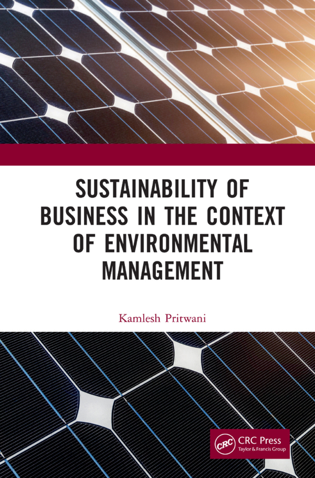 Sustainability of Business in the Context of Environmental Management 1st Edition