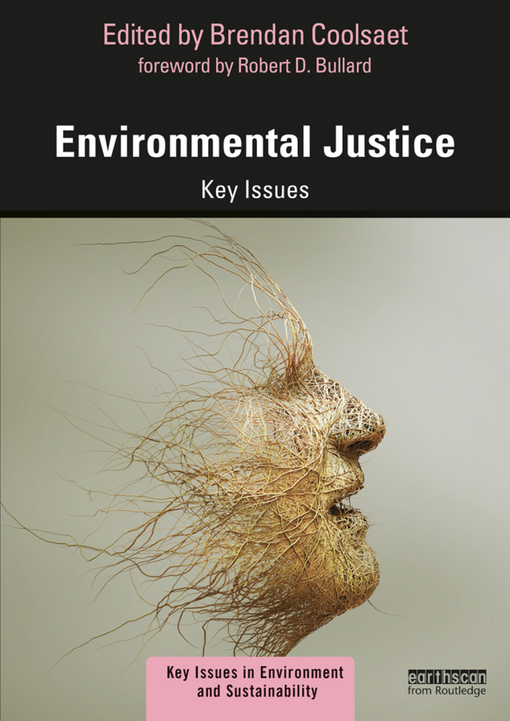 Environmental Justice Key Issues 1st Edition