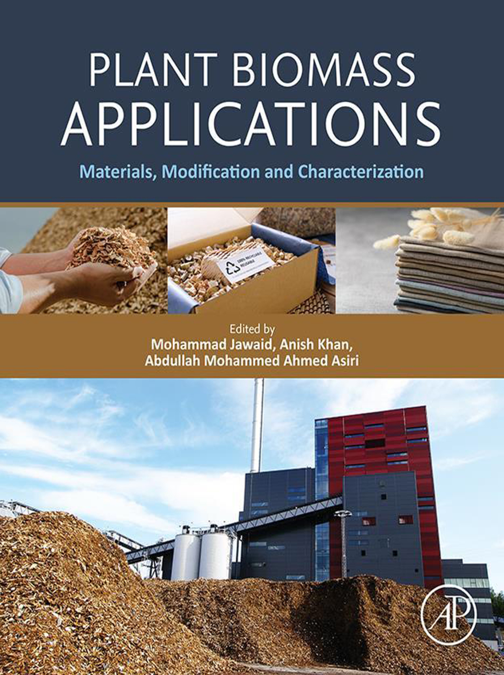Plant Biomass Applications Materials, Modification and Characterization 1st Edition