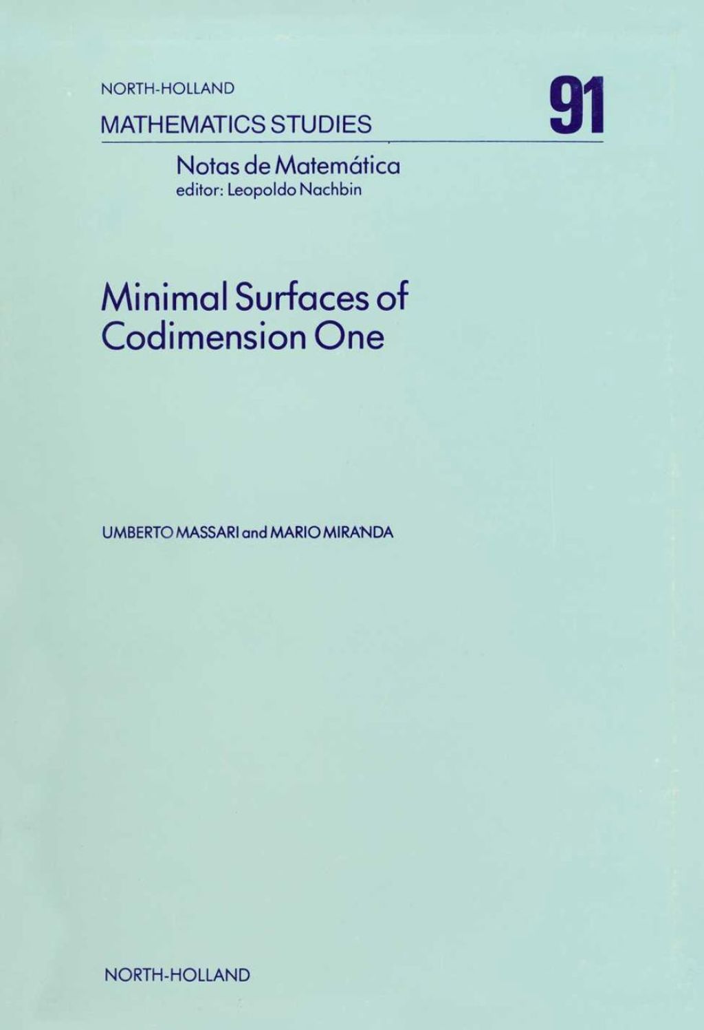 Minimal Surfaces of Codimension One 