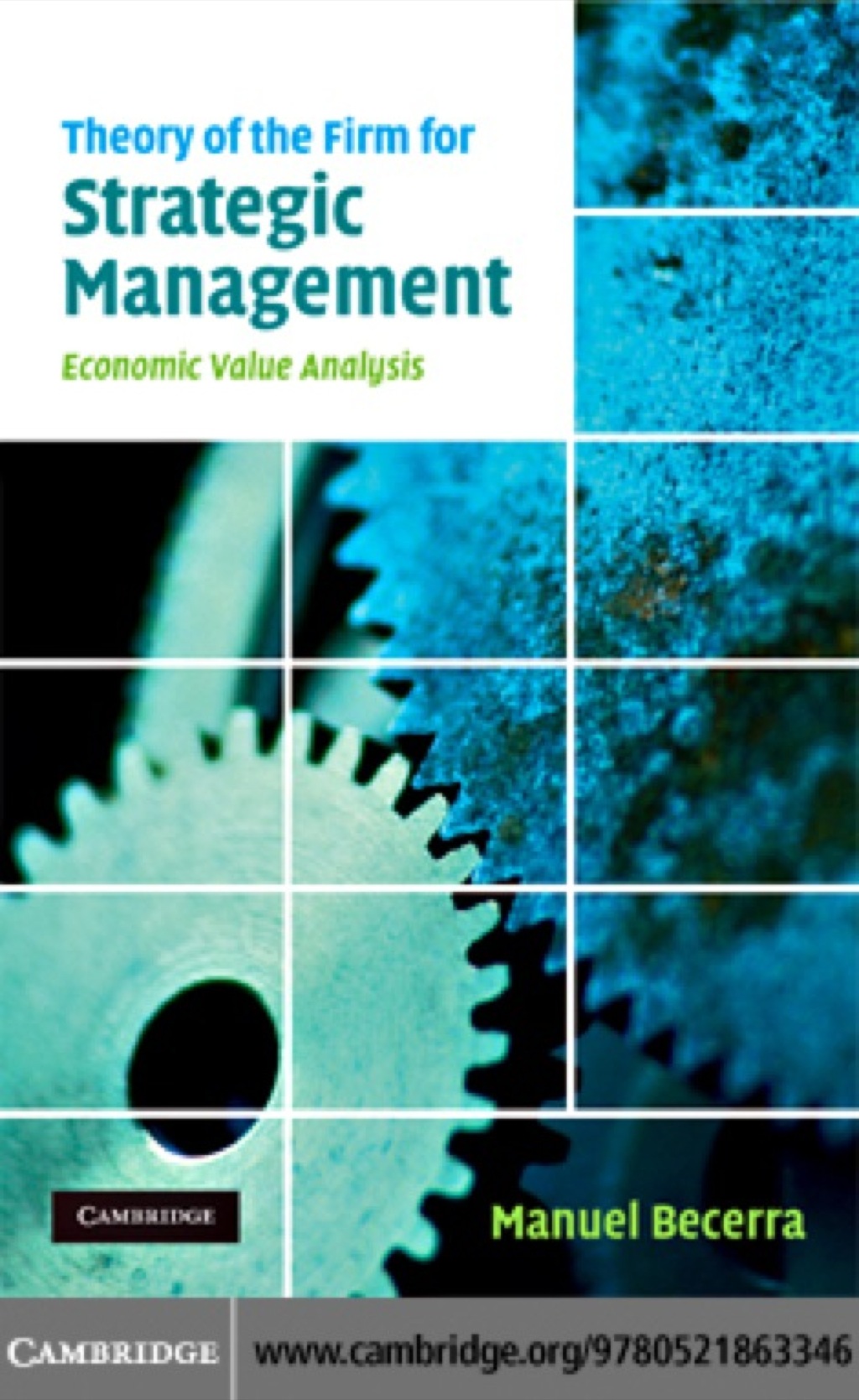 Theory of the Firm for Strategic Management Economic Value Analysis 