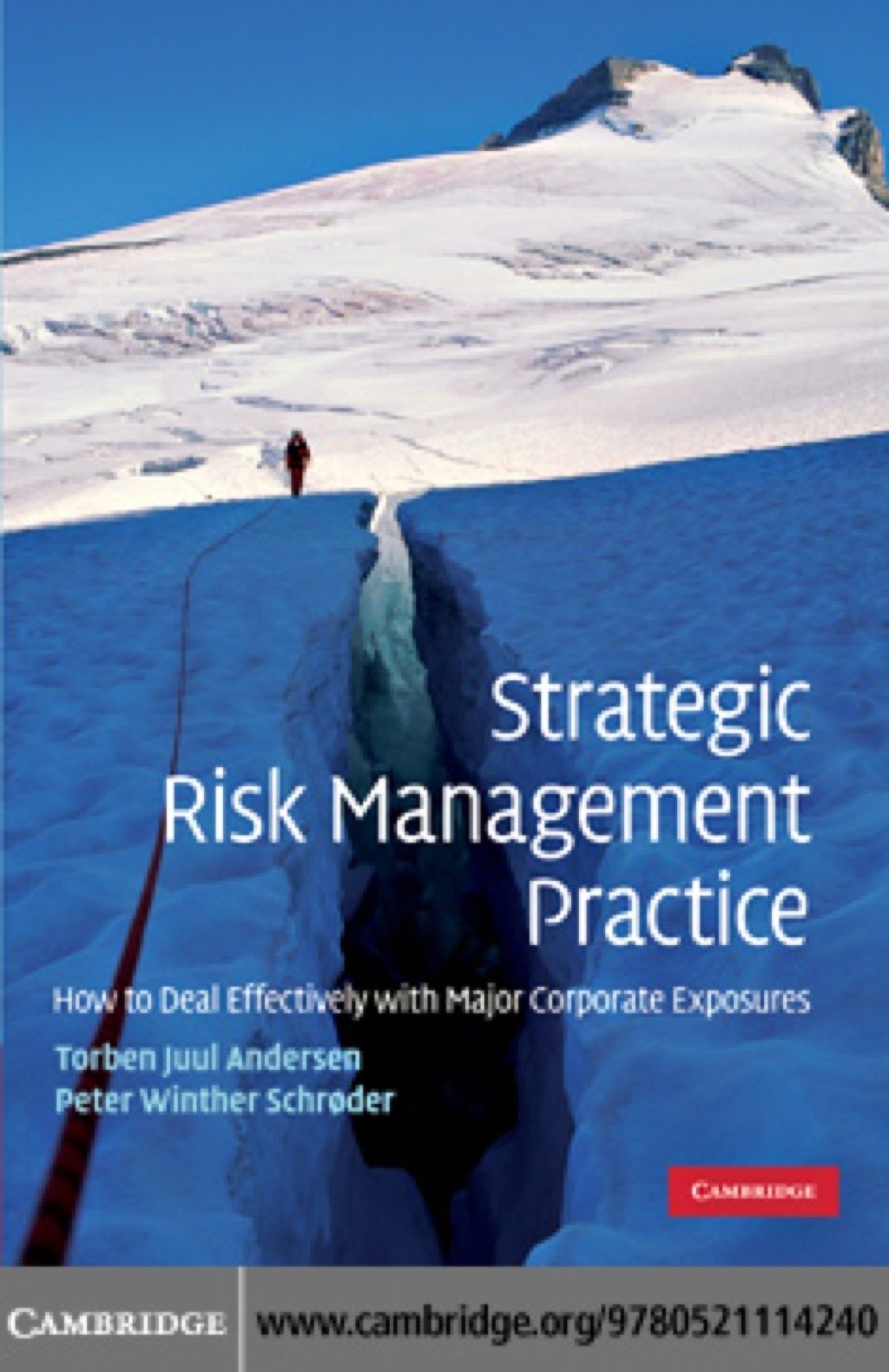 Strategic Risk Management Practice How to Deal Effectively with Major Corporate Exposures 