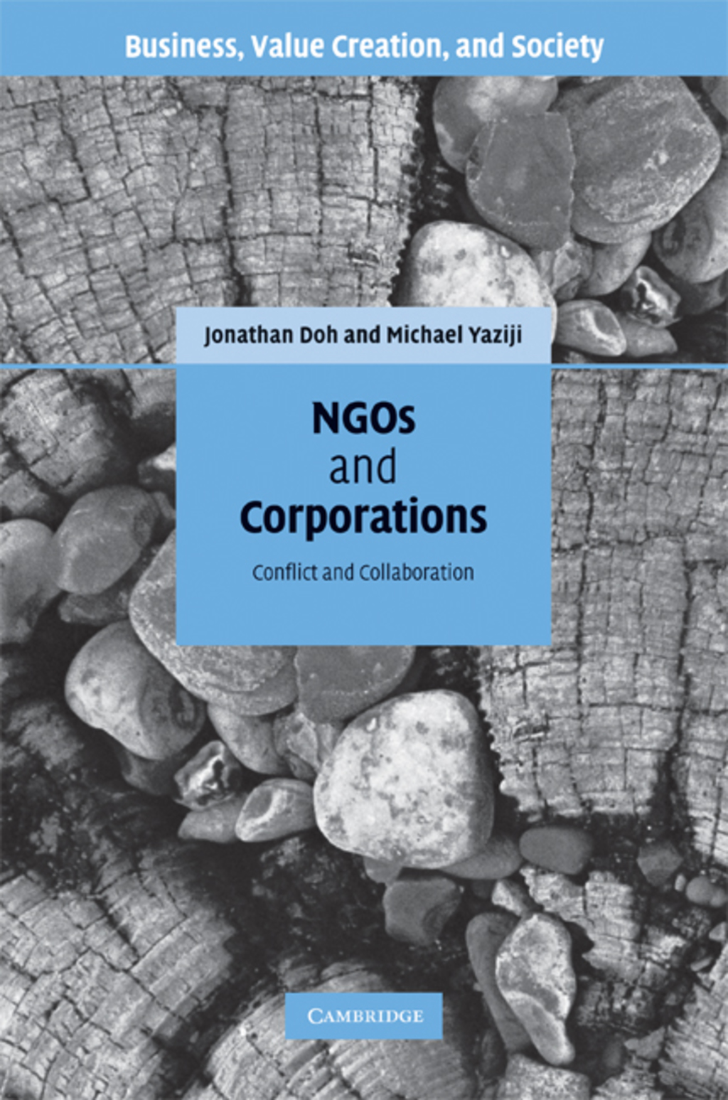 NGOs and Corporations Conflict and Collaboration 1st Edition