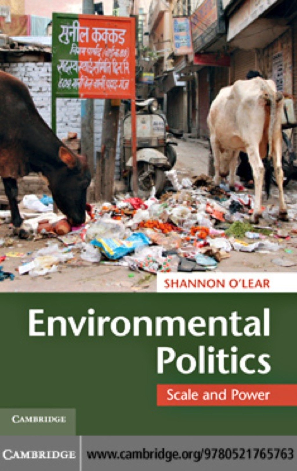 Environmental Politics Scale and Power 