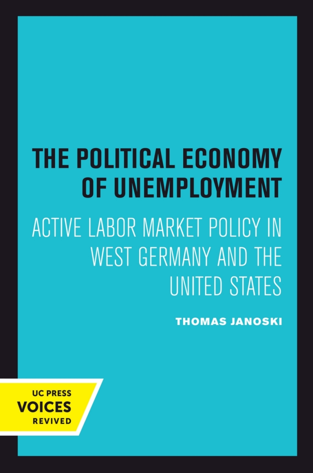 The Political Economy of Unemployment 1st Edition