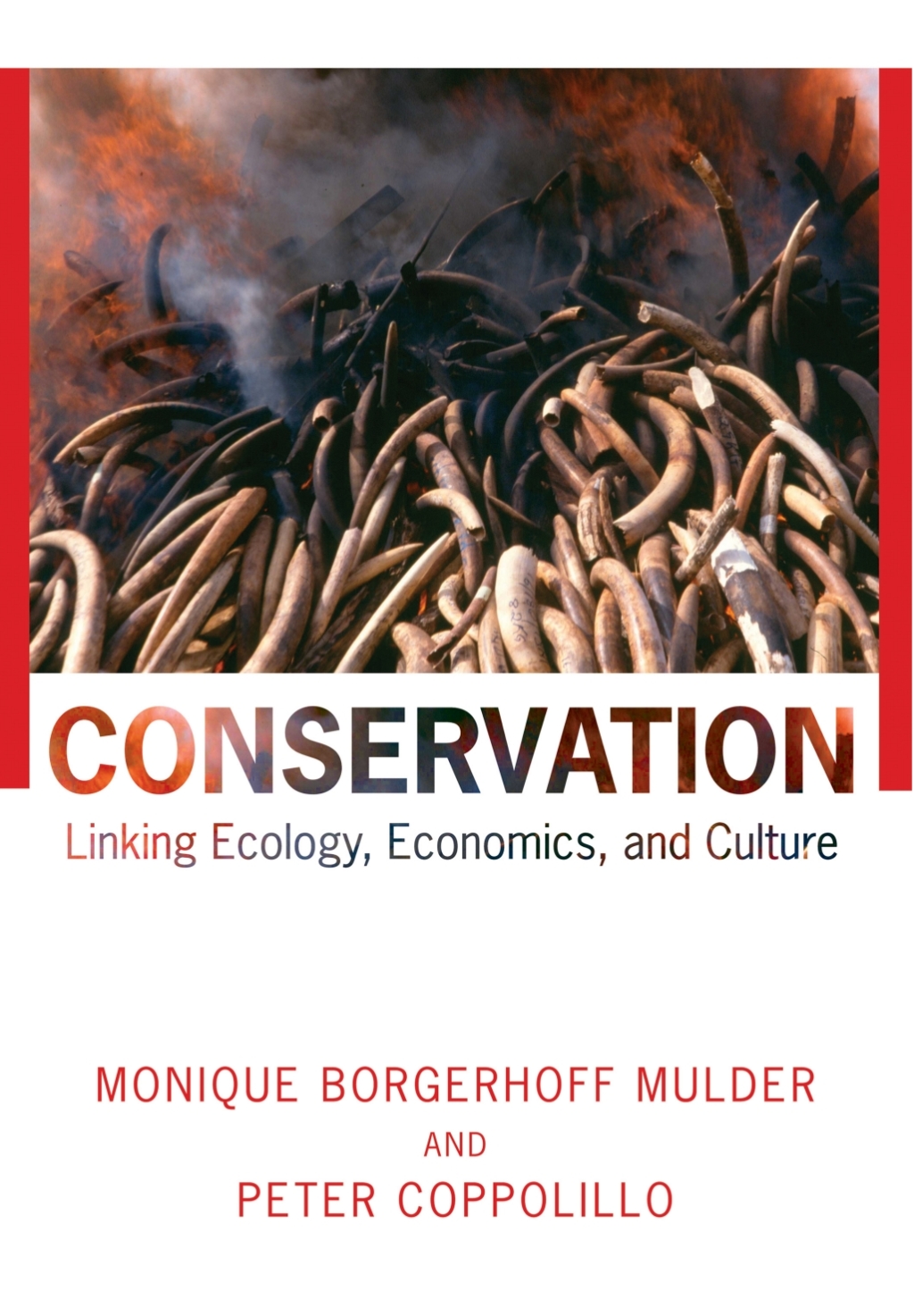 Conservation Linking Ecology, Economics, and Culture 