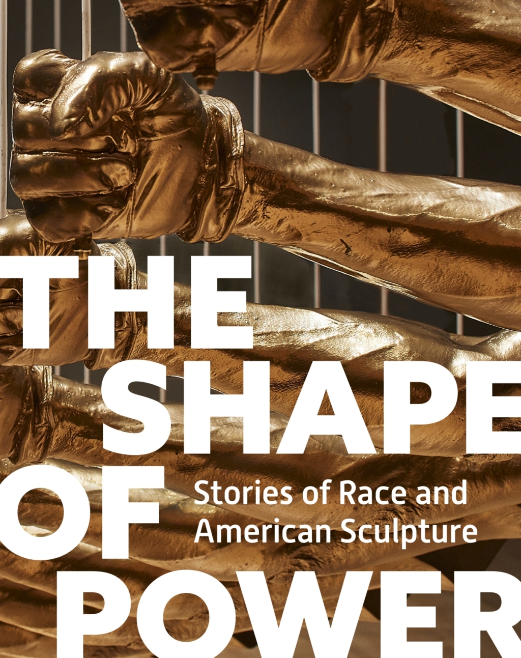The Shape of Power Stories of Race and American Sculpture 