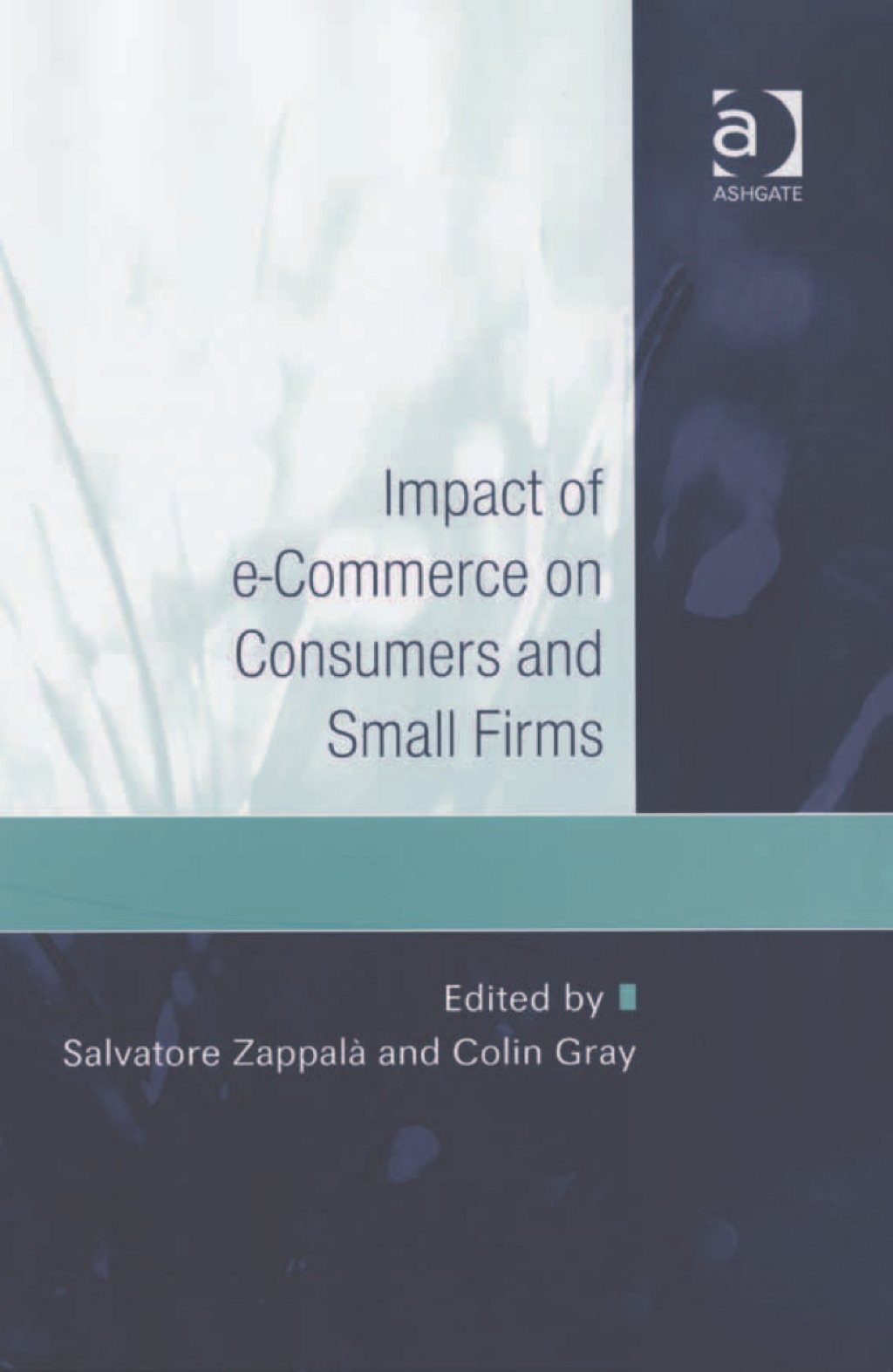 Impact of e-Commerce on Consumers and Small Firms 