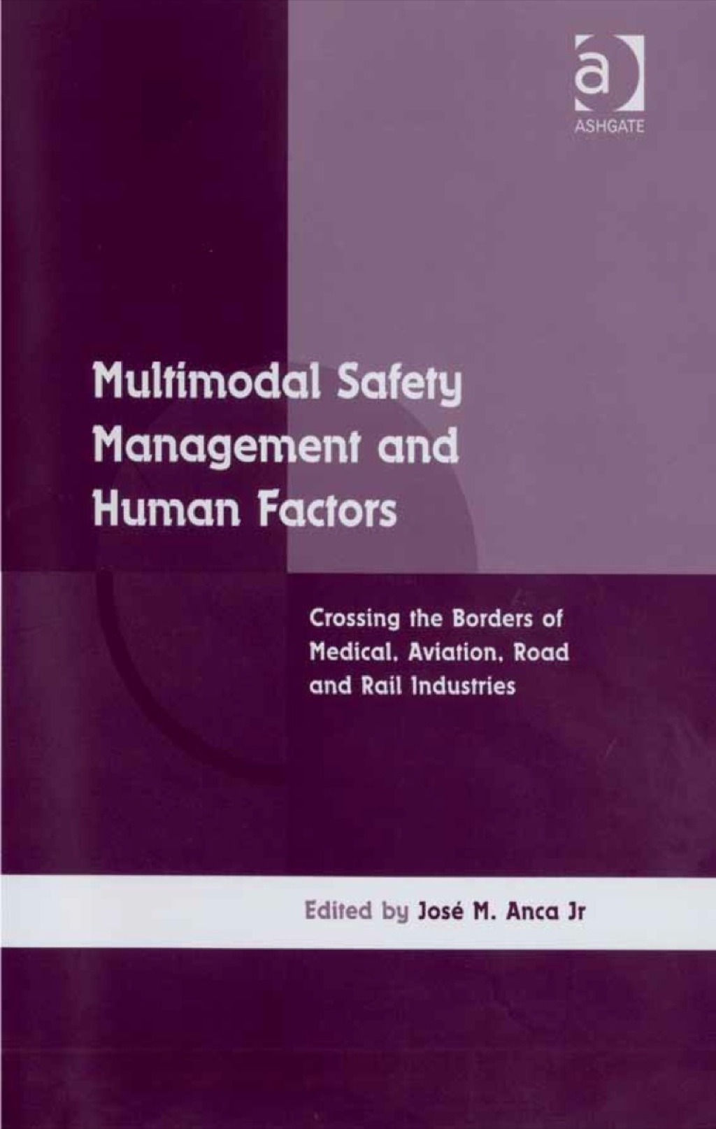 Multimodal Safety Management and Human Factors: Crossing the Borders of Medical, Aviation, Road and Rail Industries 