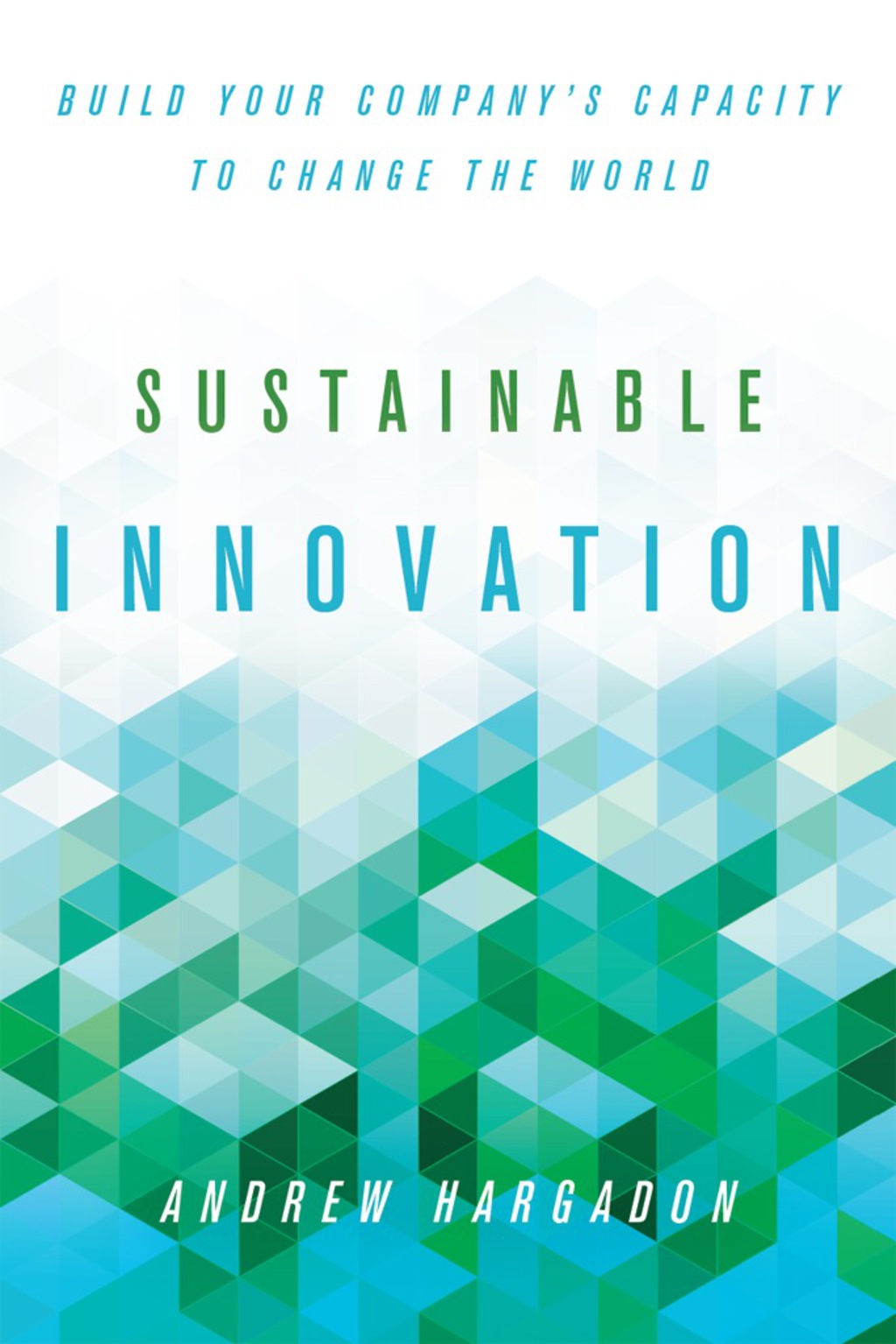 Sustainable Innovation Build Your CompanyÃ¢â‚¬Å¡Ãƒâ€žÃƒÂ¶Ã¢Ë†Å¡Ãƒâ€˜Ã¢Ë†Å¡Ã‚Â¥s Capacity to Change the World 1st Edition
