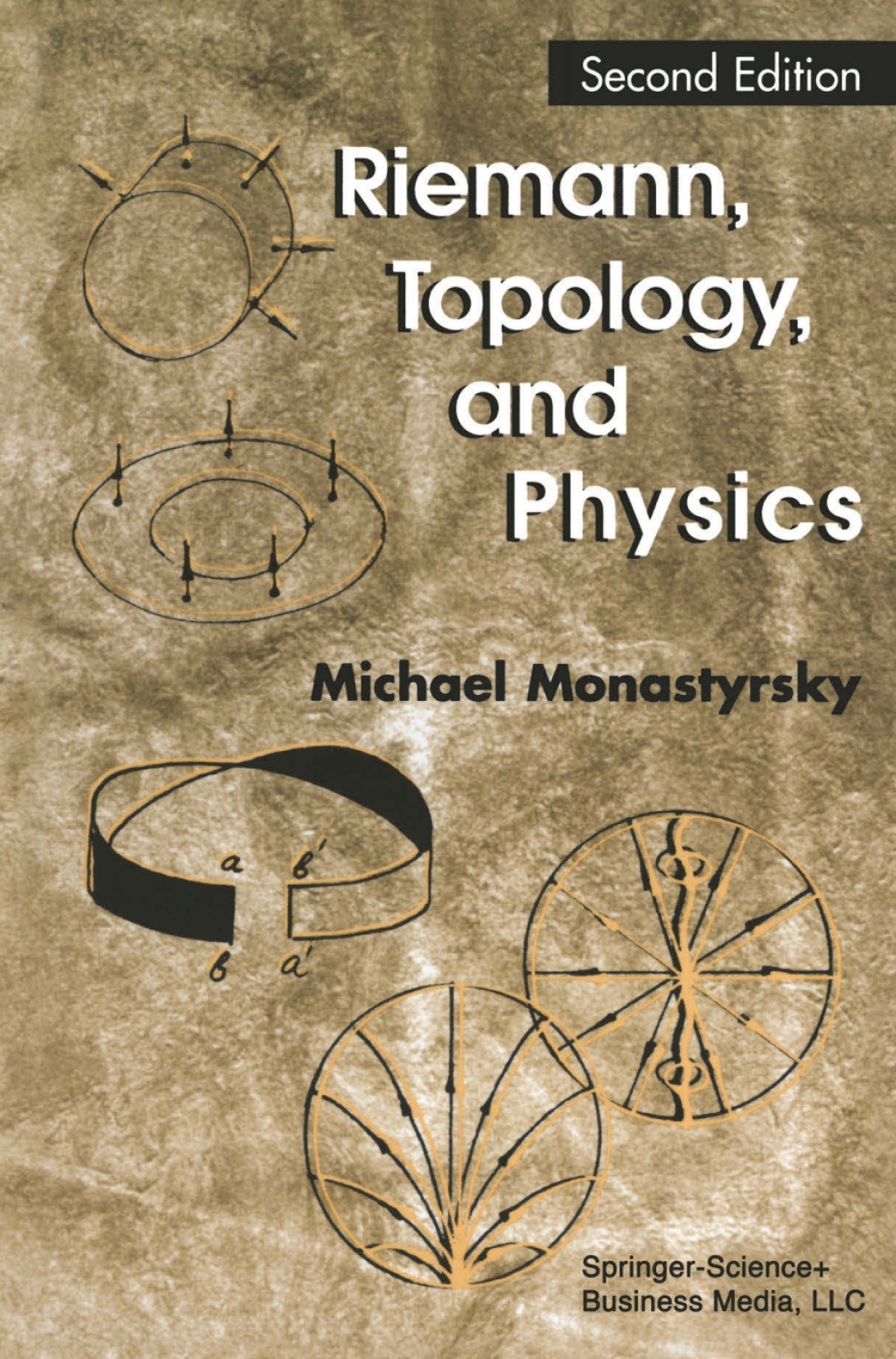 Riemann, Topology, and Physics 2nd Edition