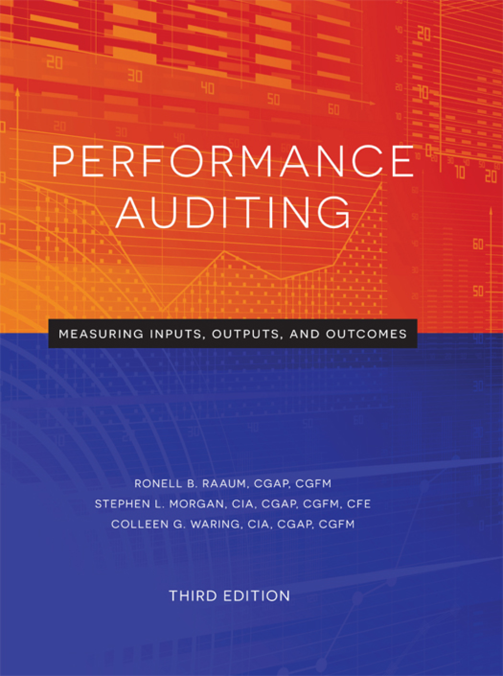 Performance Auditing: Measuring Inputs, Outputs, and Outcomes 3rd Edition