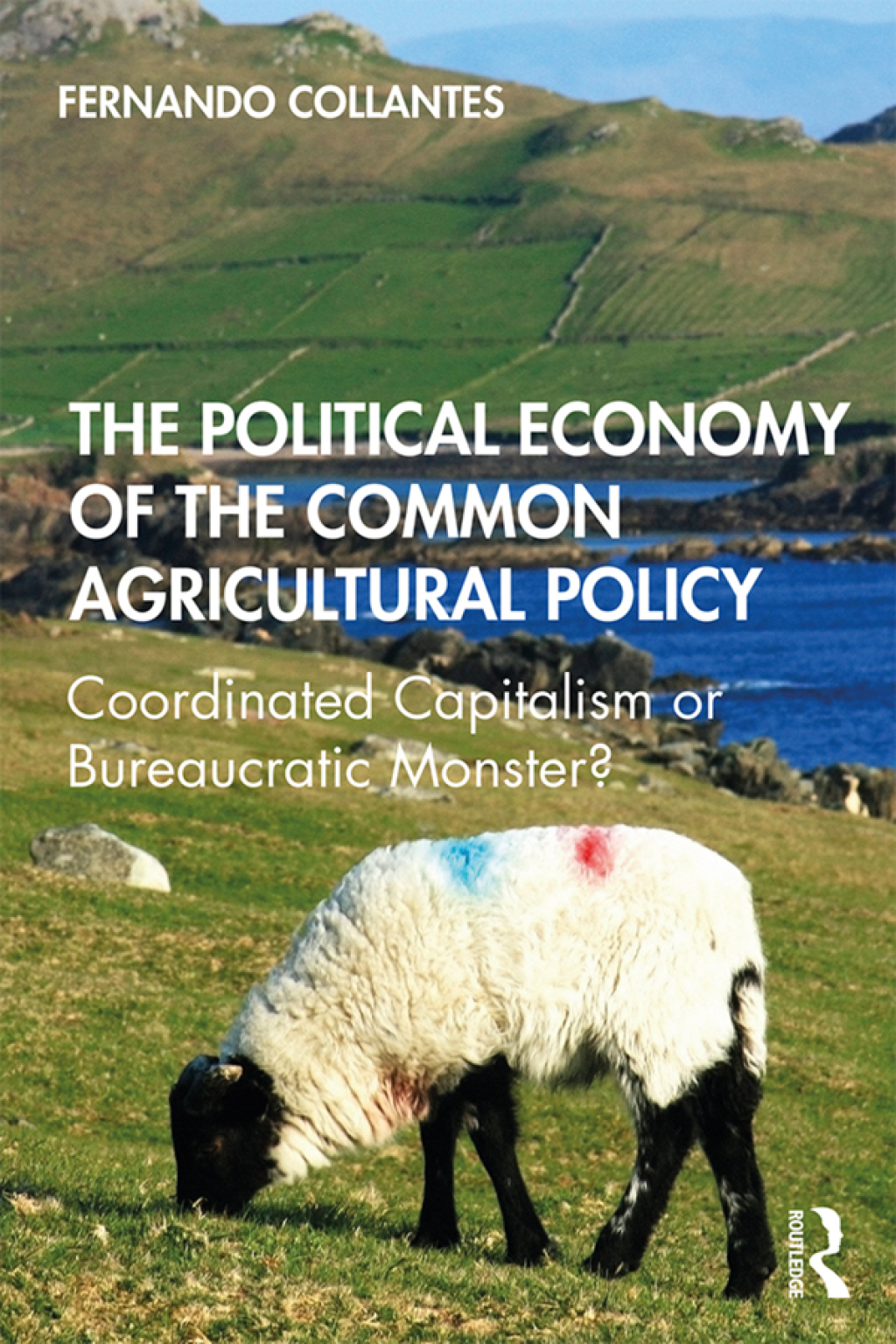 The Political Economy of the Common Agricultural Policy Coordinated Capitalism or Bureaucratic Monster? 1st Edition