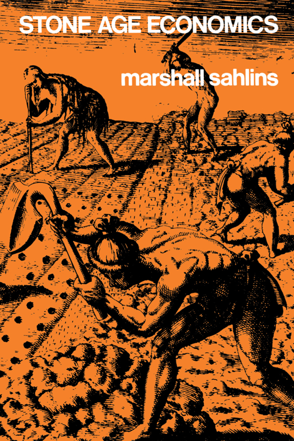 Stone Age Economics 1st Edition