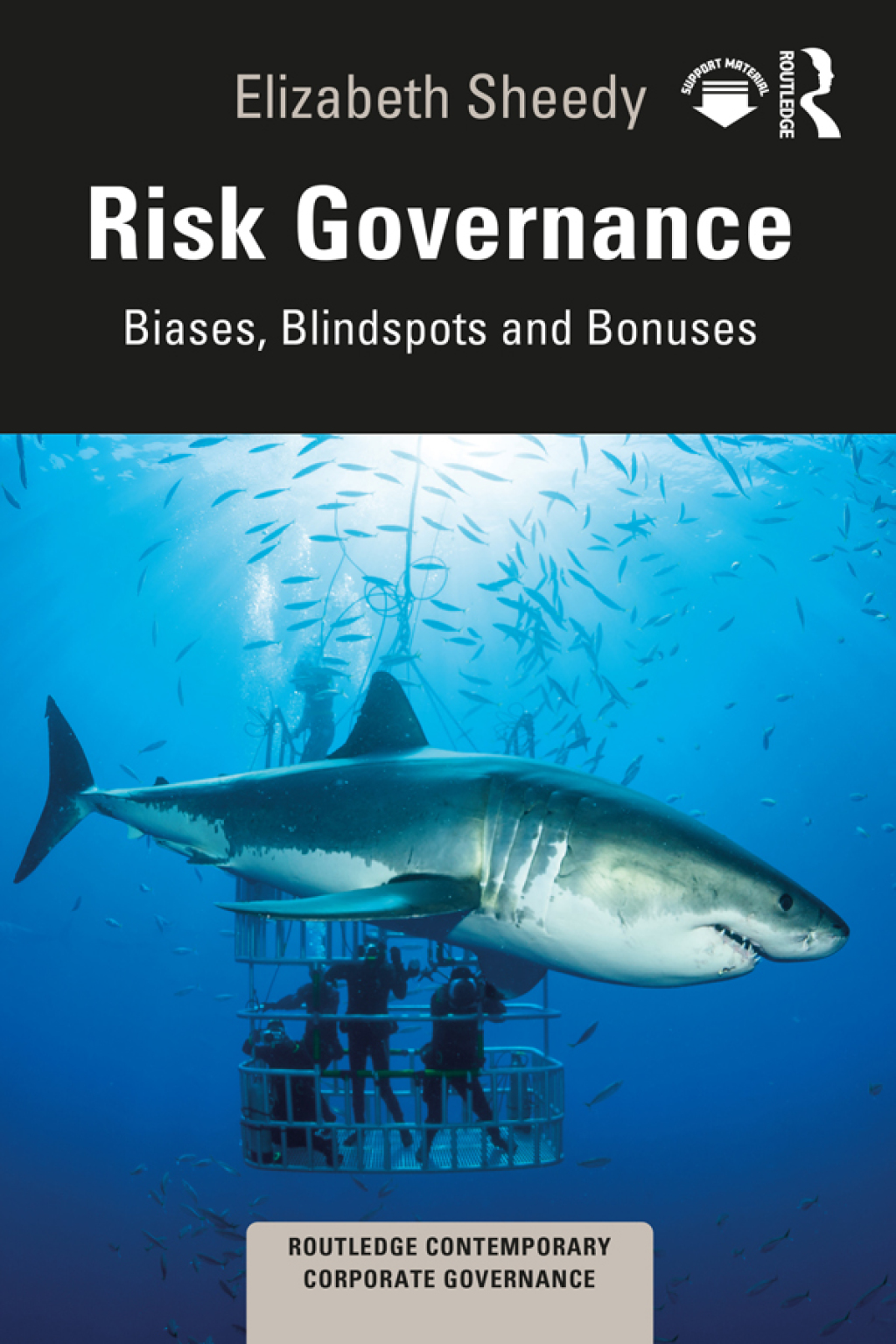Risk Governance Biases, Blind Spots and Bonuses 1st Edition
