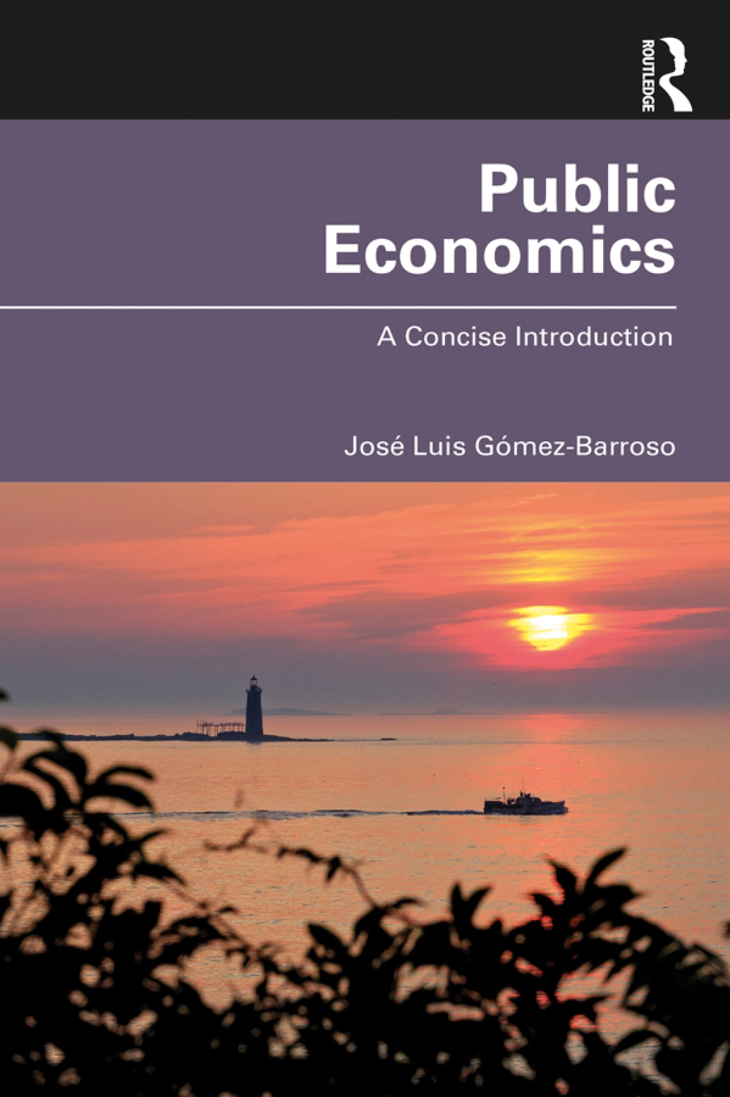 Public Economics A Concise Introduction 1st Edition