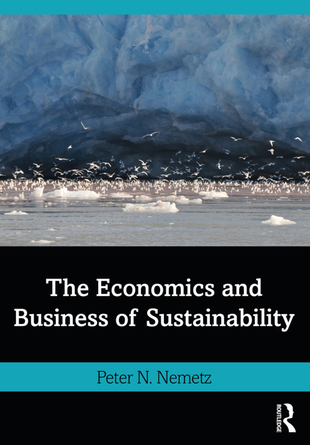 The Economics and Business of Sustainability 1st Edition