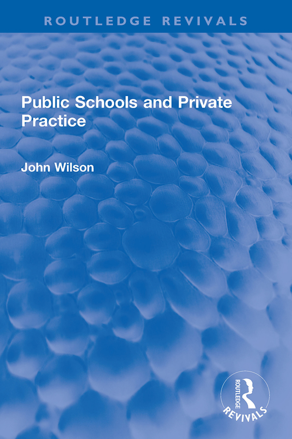 Public Schools and Private Practice 1st Edition