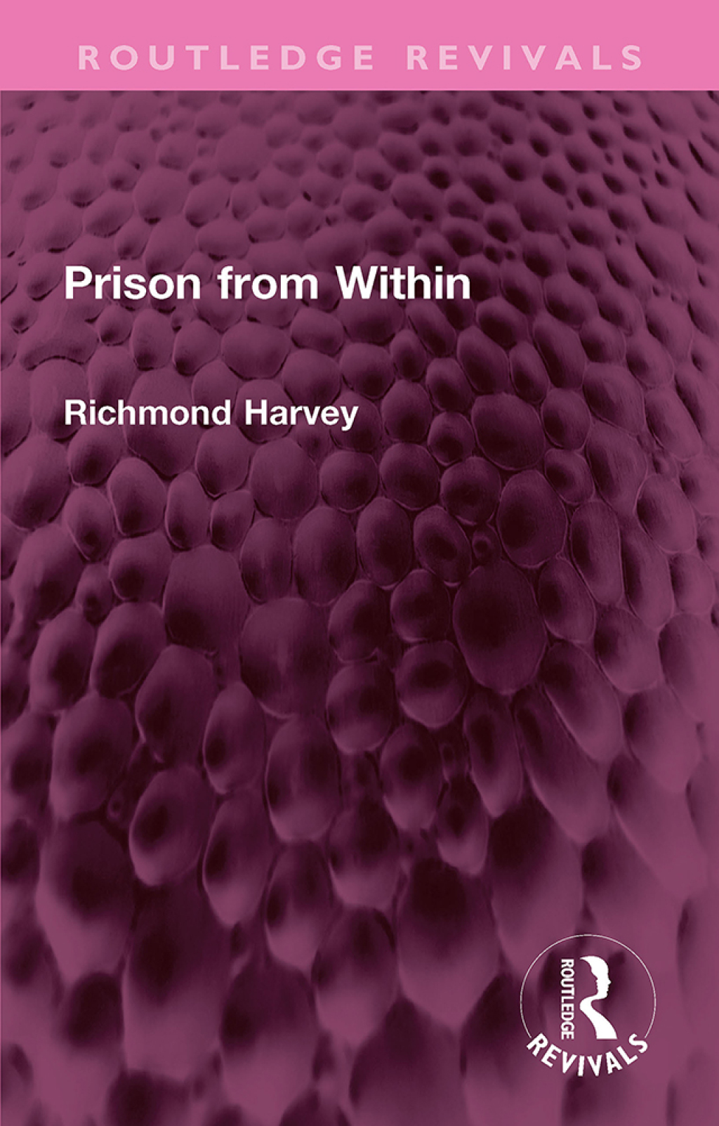 Prison from Within 1st Edition