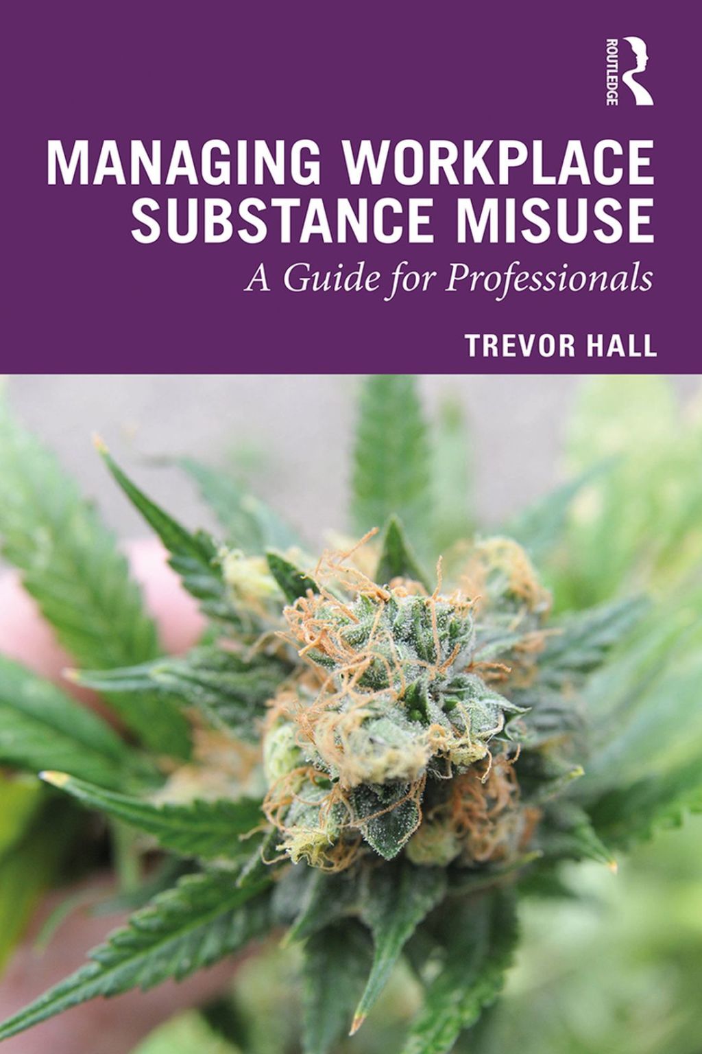 Managing Workplace Substance Misuse A Guide for Professionals 1st Edition