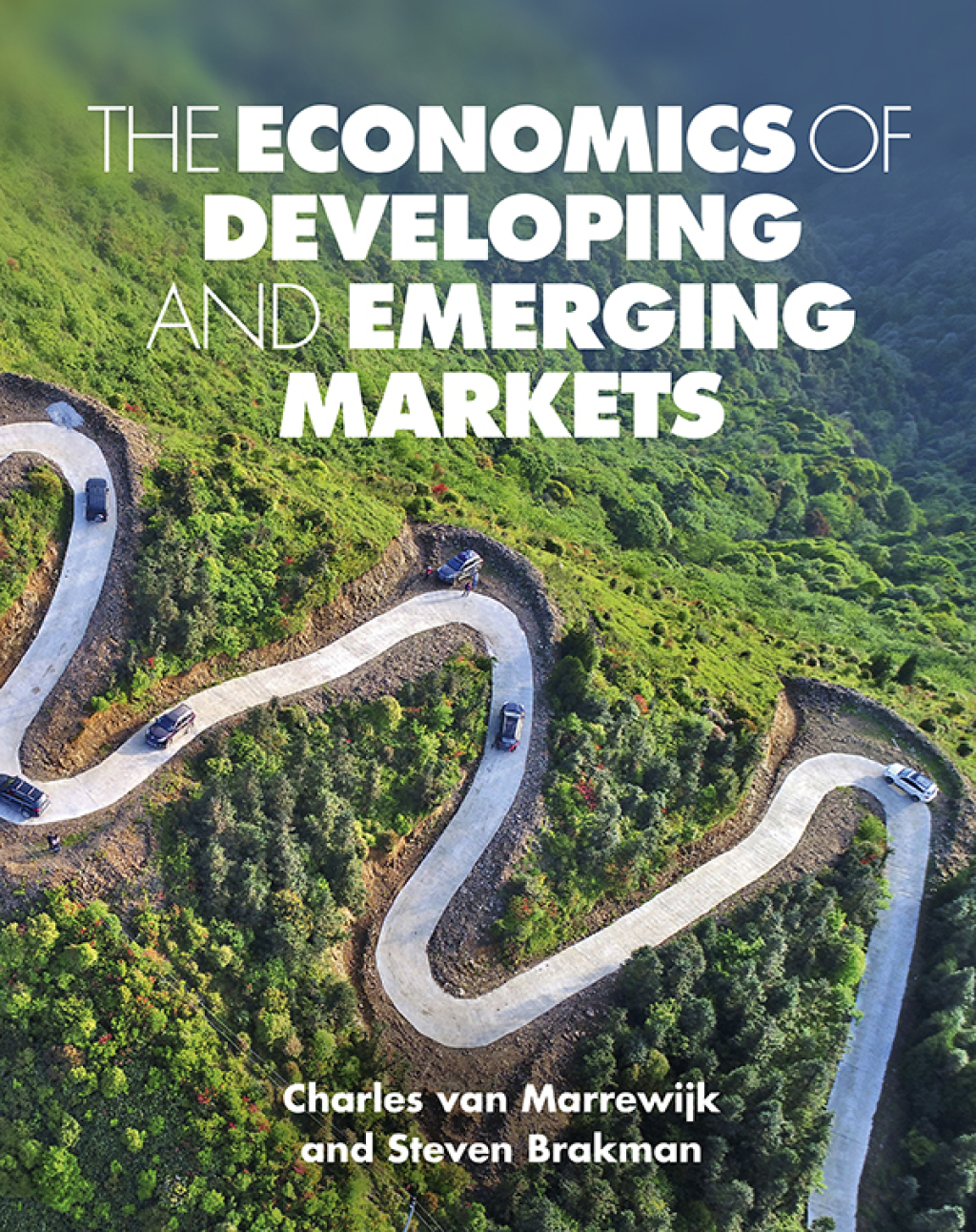 The Economics of Developing and Emerging Markets 