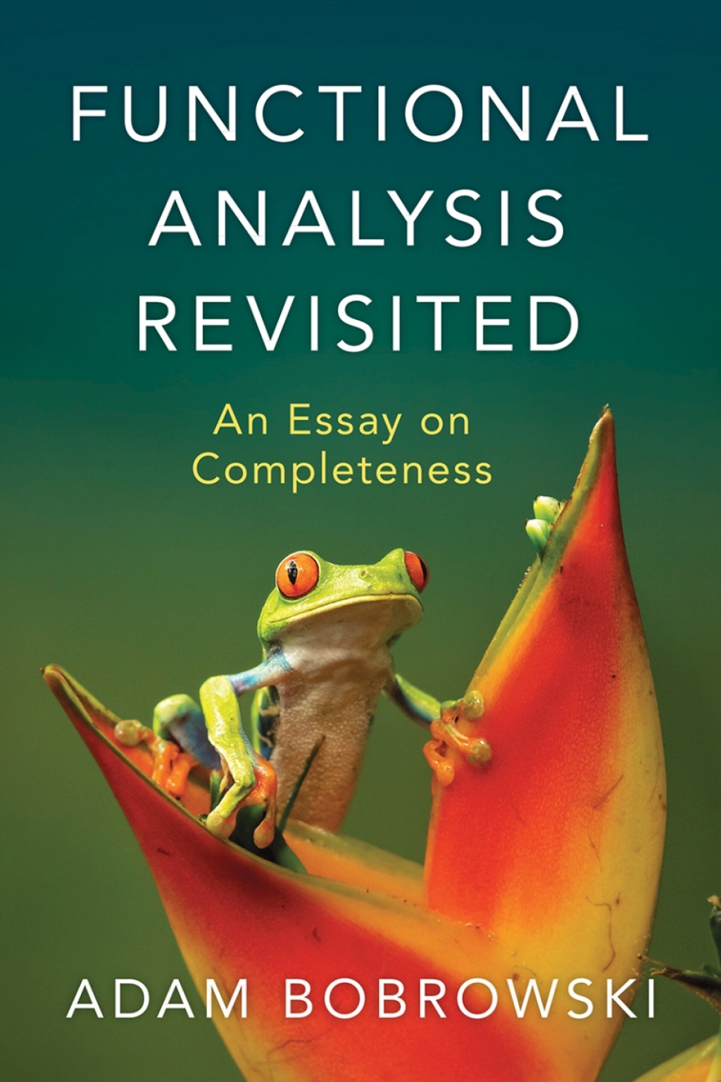 Functional Analysis Revisited An Essay on Completeness 