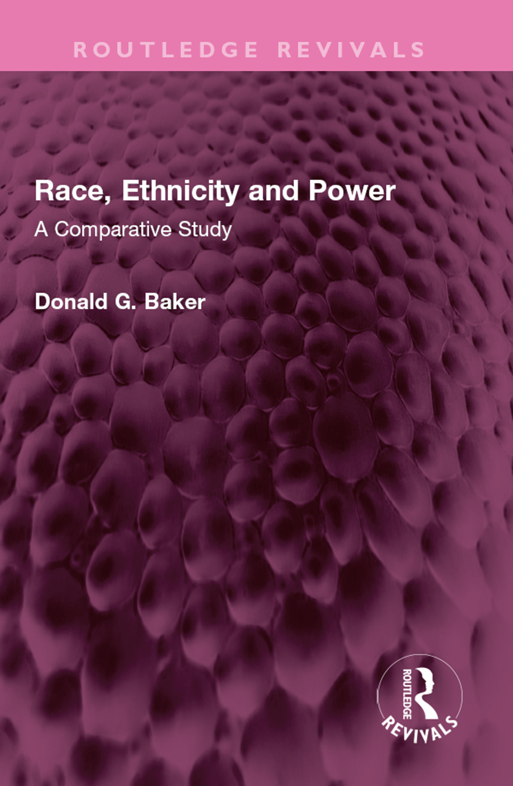 Race, Ethnicity and Power A Comparative Study 1st Edition