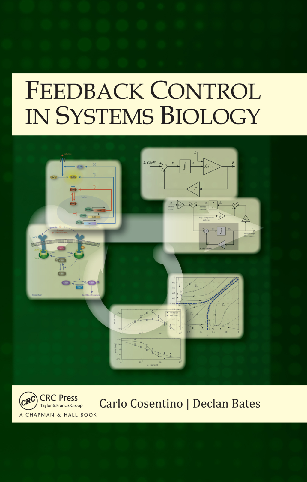 Feedback Control in Systems Biology 1st Edition