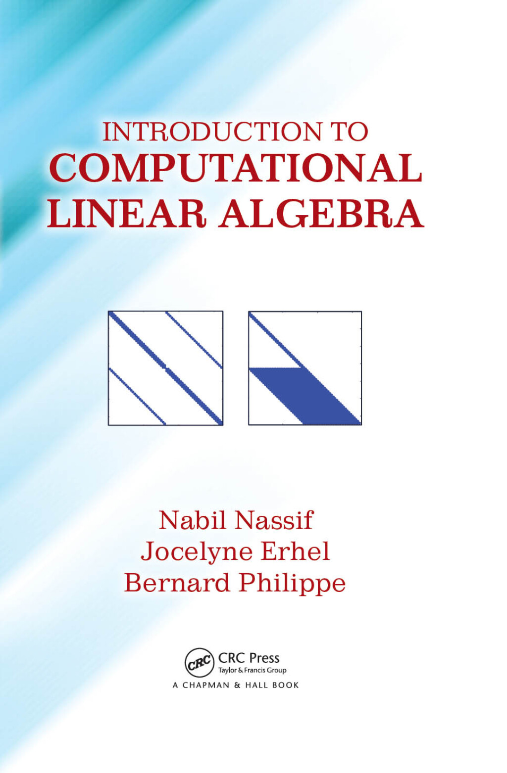 Introduction to Computational Linear Algebra 1st Edition