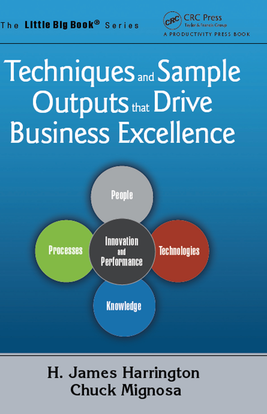 Techniques and Sample Outputs that Drive Business Excellence 1st Edition