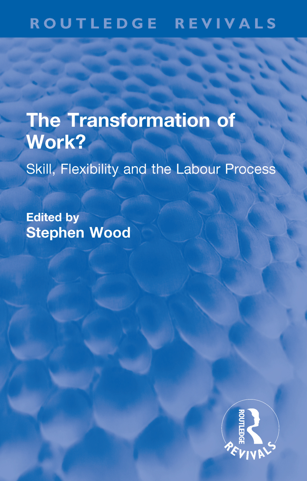 The Transformation of Work? Skill, Flexibility and the Labour Process 1st Edition