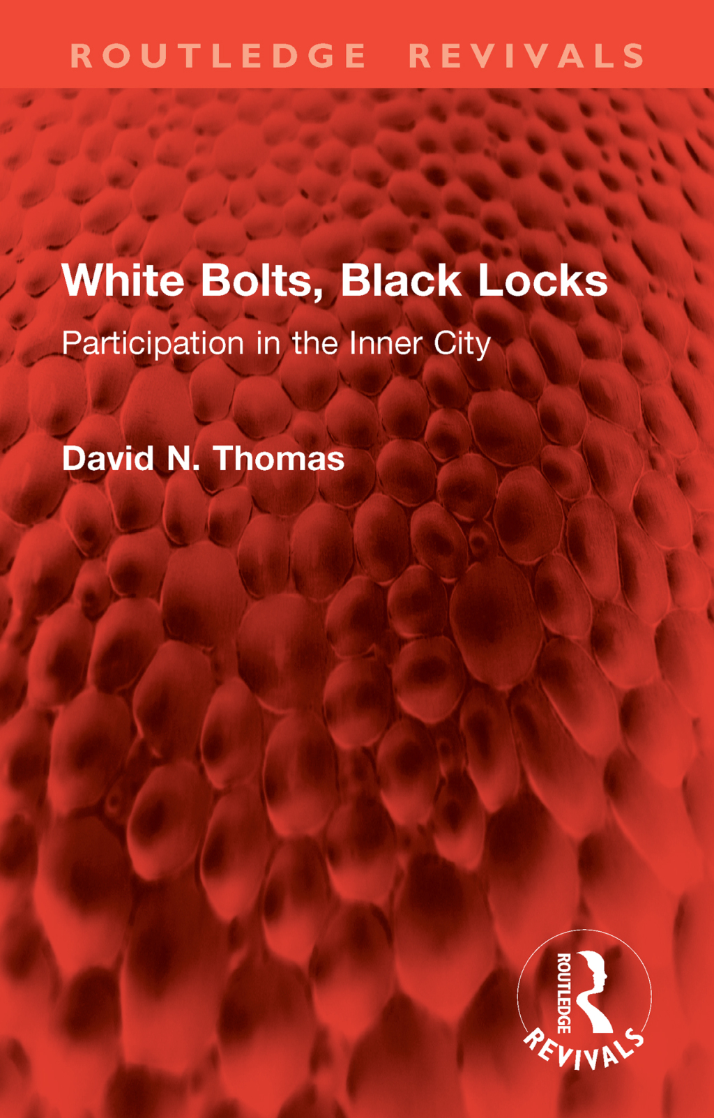 White Bolts, Black Locks Participation in the Inner City 1st Edition