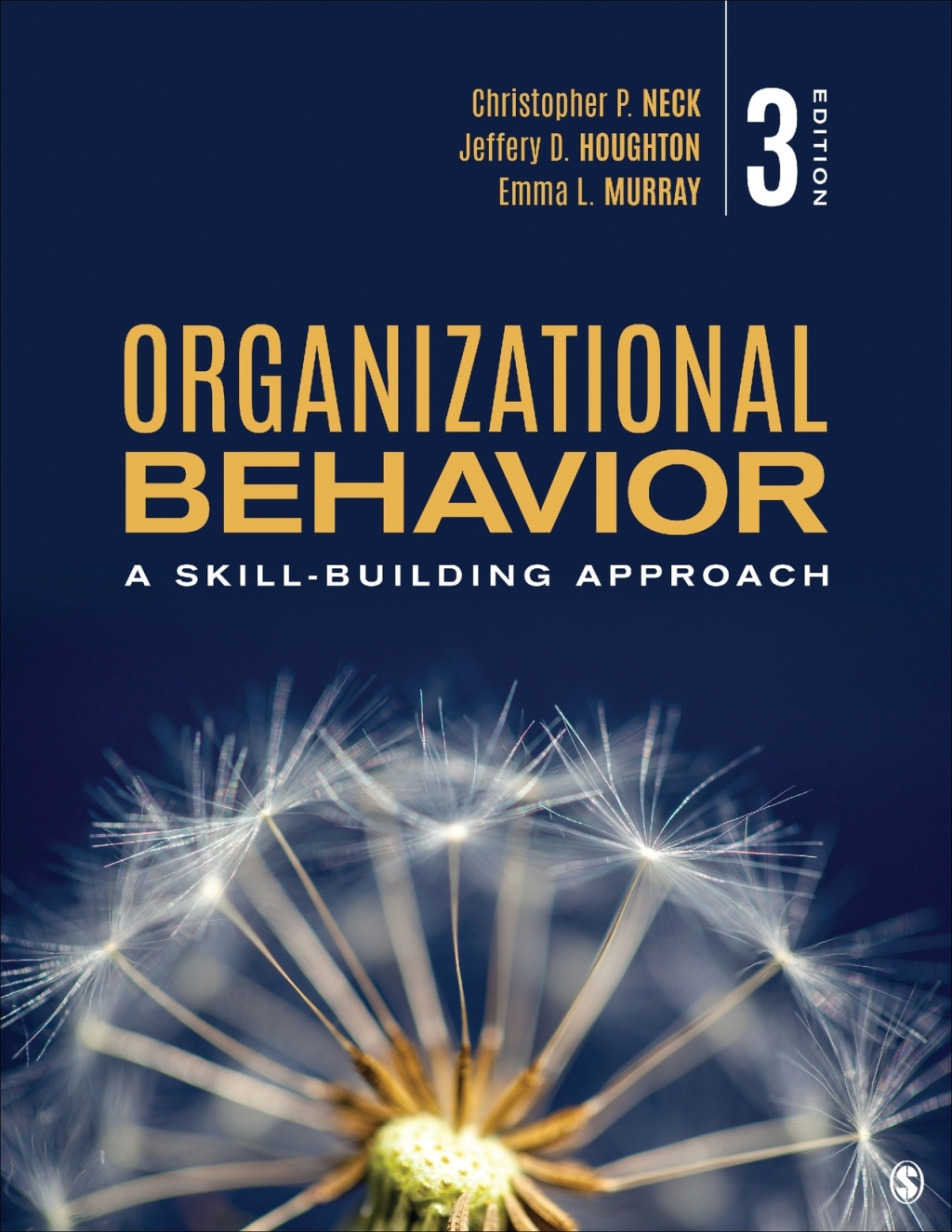 Organizational Behavior A Skill-Building Approach 3rd Edition