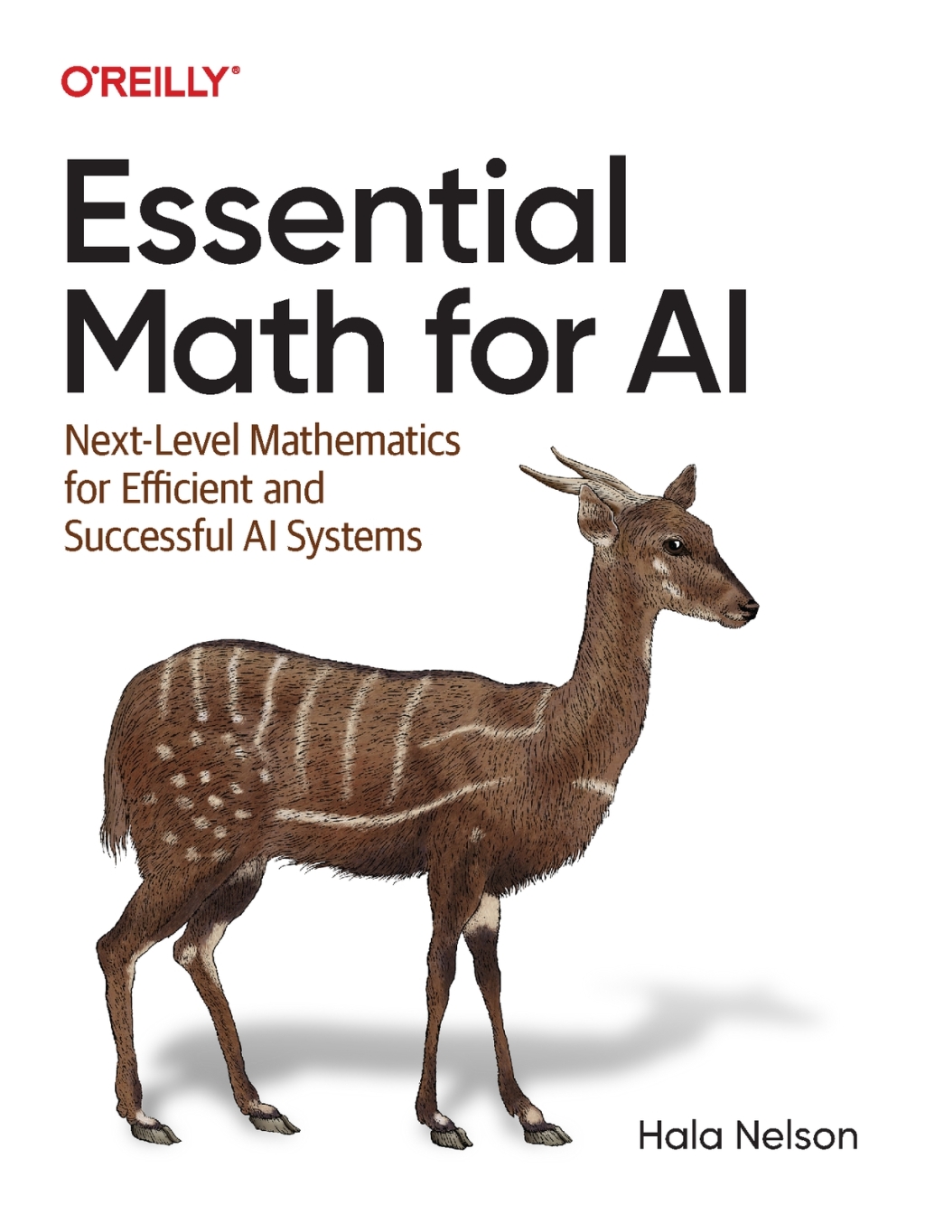 Essential Math for AI Next-Level Mathematics for Efficient and Successful AI Systems 1st Edition