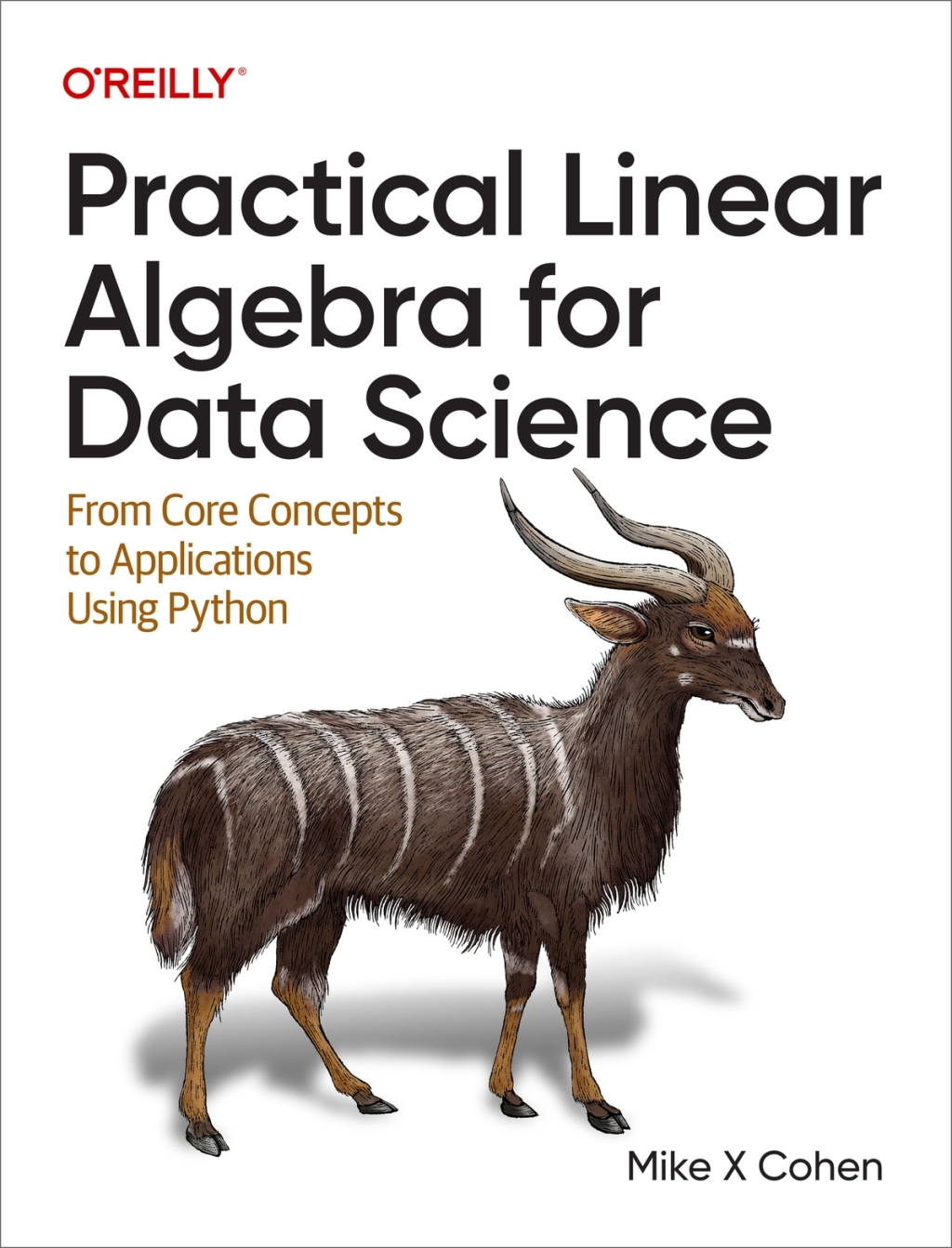 Practical Linear Algebra for Data Science From Core Concepts to Applications Using Python 1st Edition