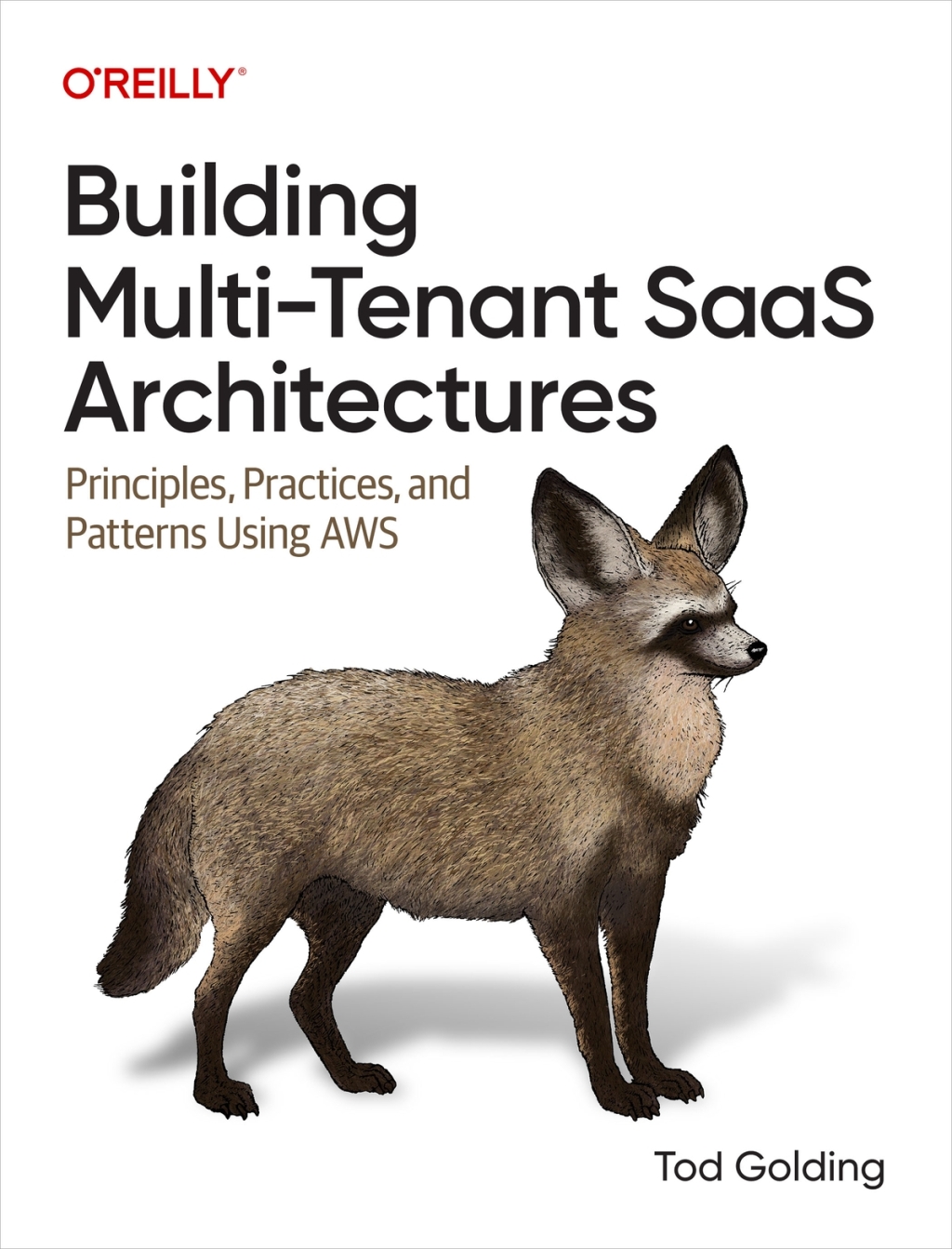 Building Multi-Tenant SaaS Architectures Principles, Practices, and Patterns Using AWS 1st Edition