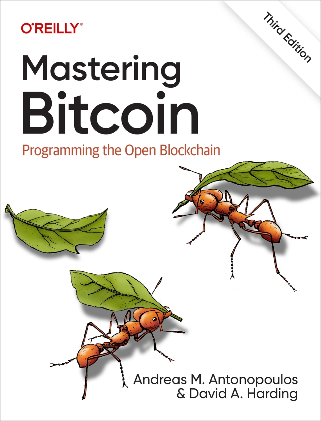 Mastering Bitcoin Programming the Open Blockchain 3rd Edition