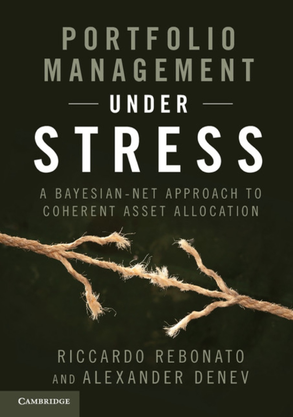Portfolio Management under Stress A Bayesian-Net Approach to Coherent Asset Allocation 1st Edition