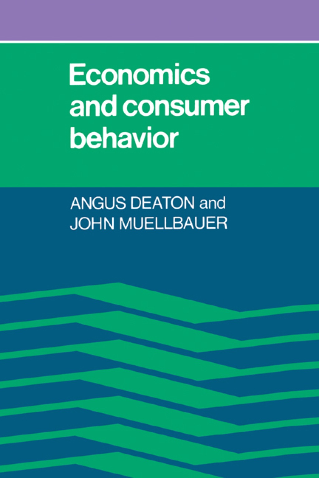 Economics and Consumer Behavior 1st Edition