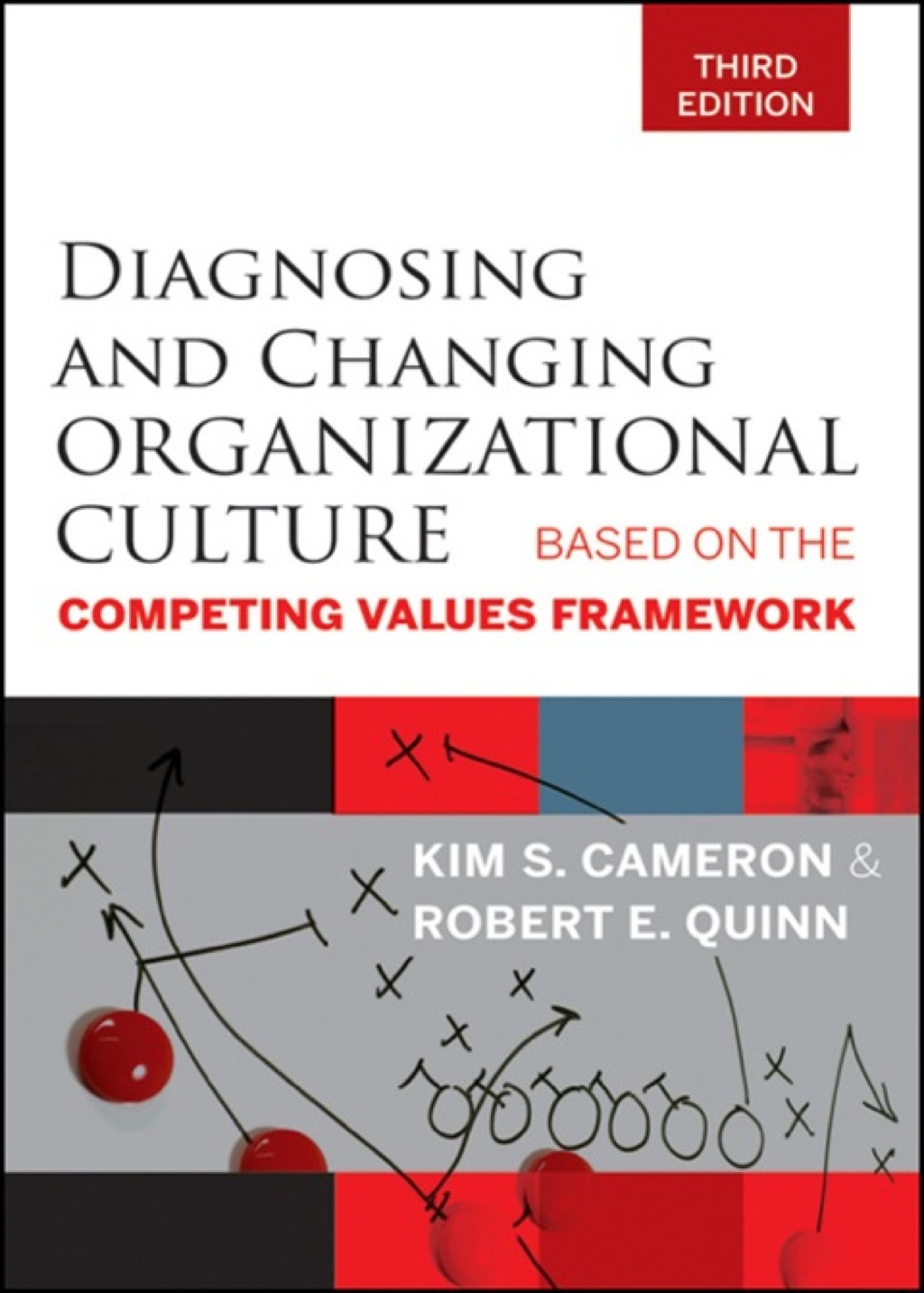 Diagnosing and Changing Organizational Culture: Based on the Competing Values Framework 3rd Edition