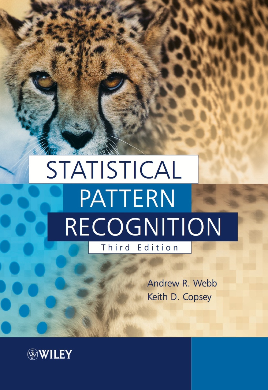 Statistical Pattern Recognition 3rd Edition
