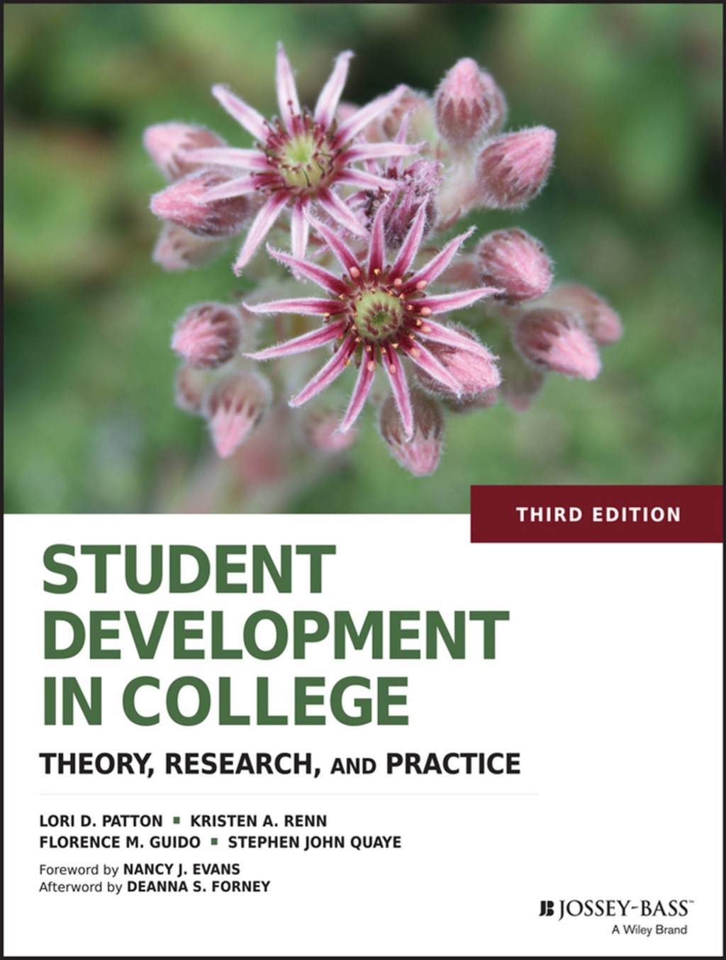 Student Development in College: Theory, Research, and Practice 3rd Edition