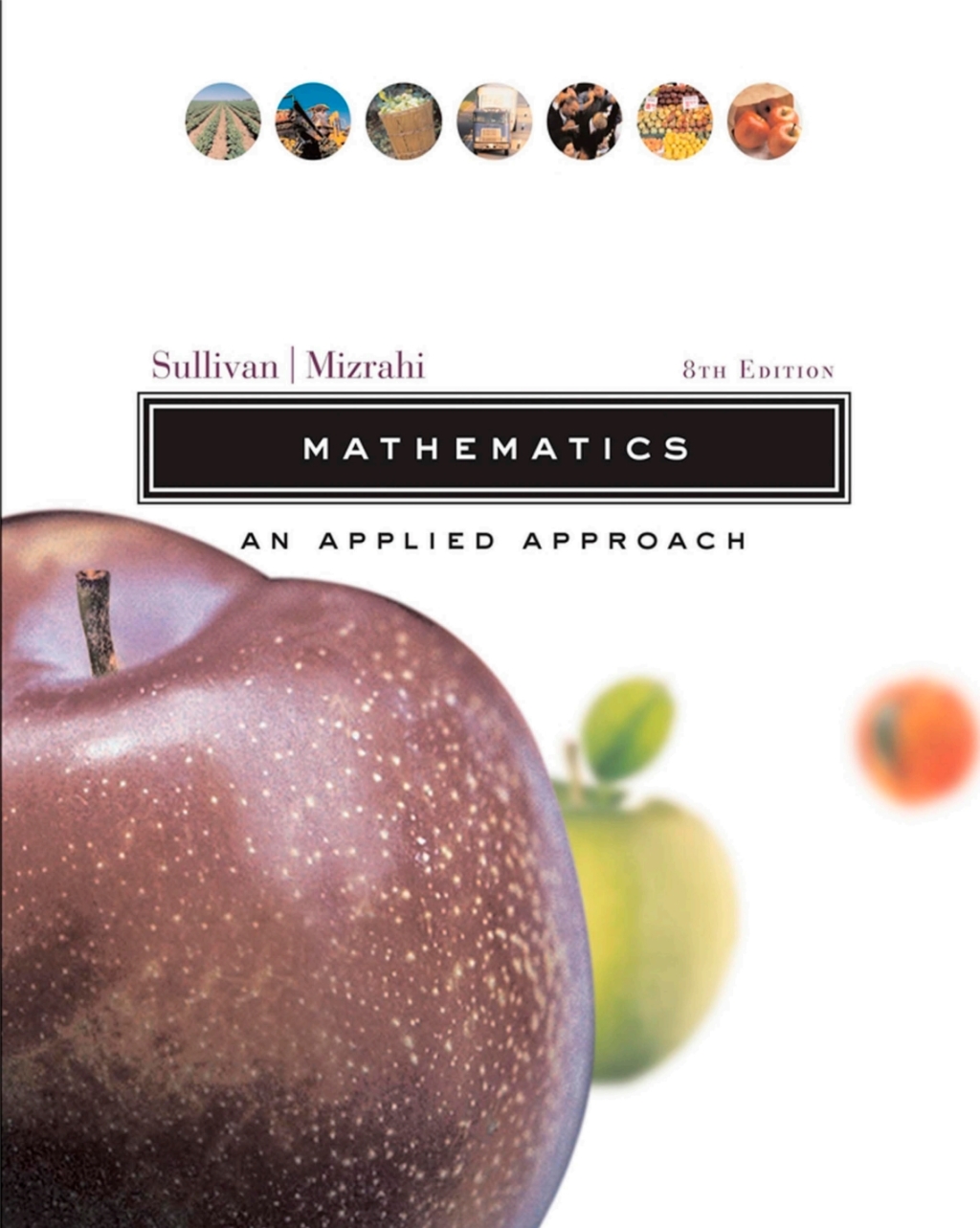 Mathematics: An Applied Approach 8th Edition