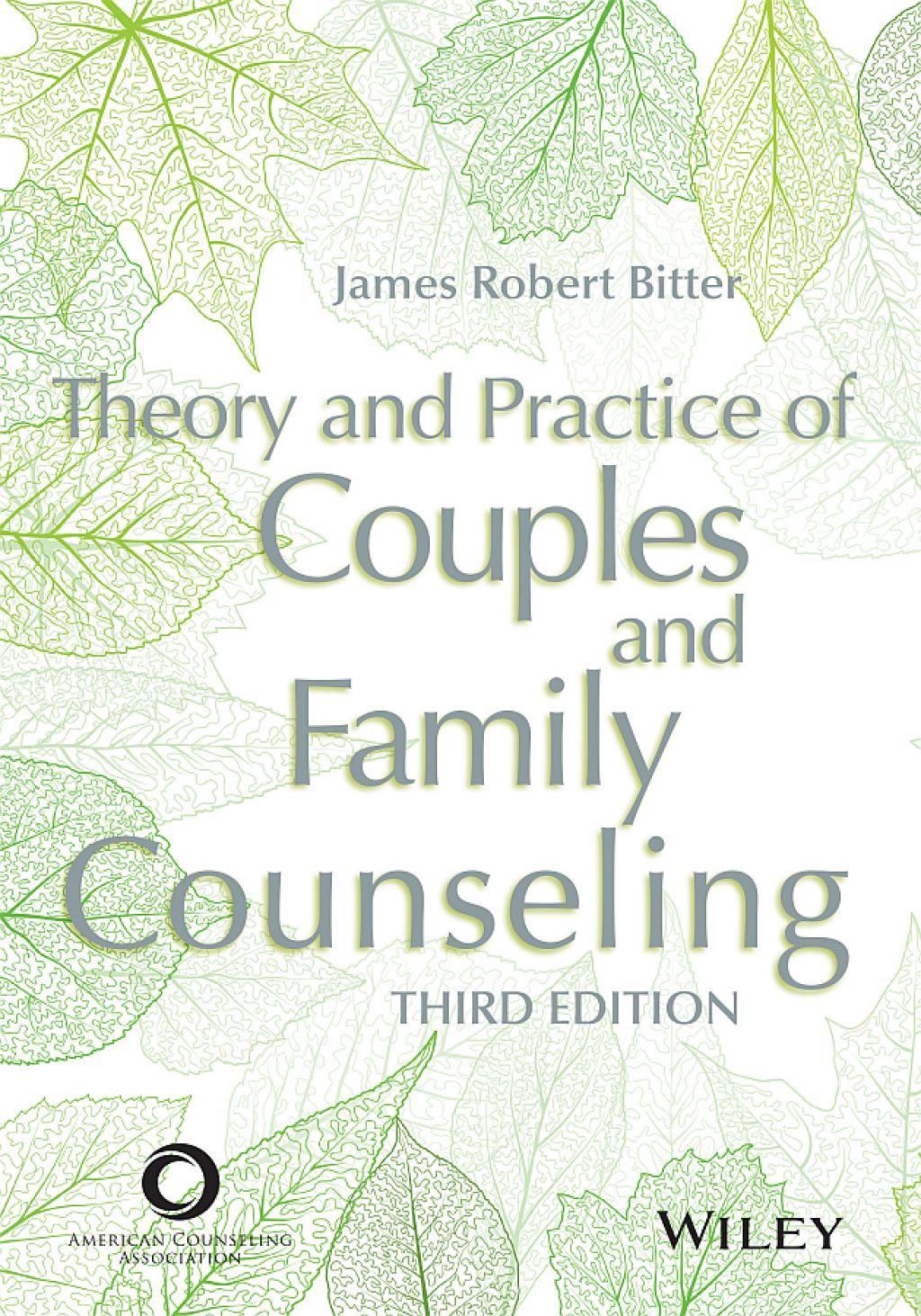 Theory and Practice of Couples and Family Counseling 3rd Edition