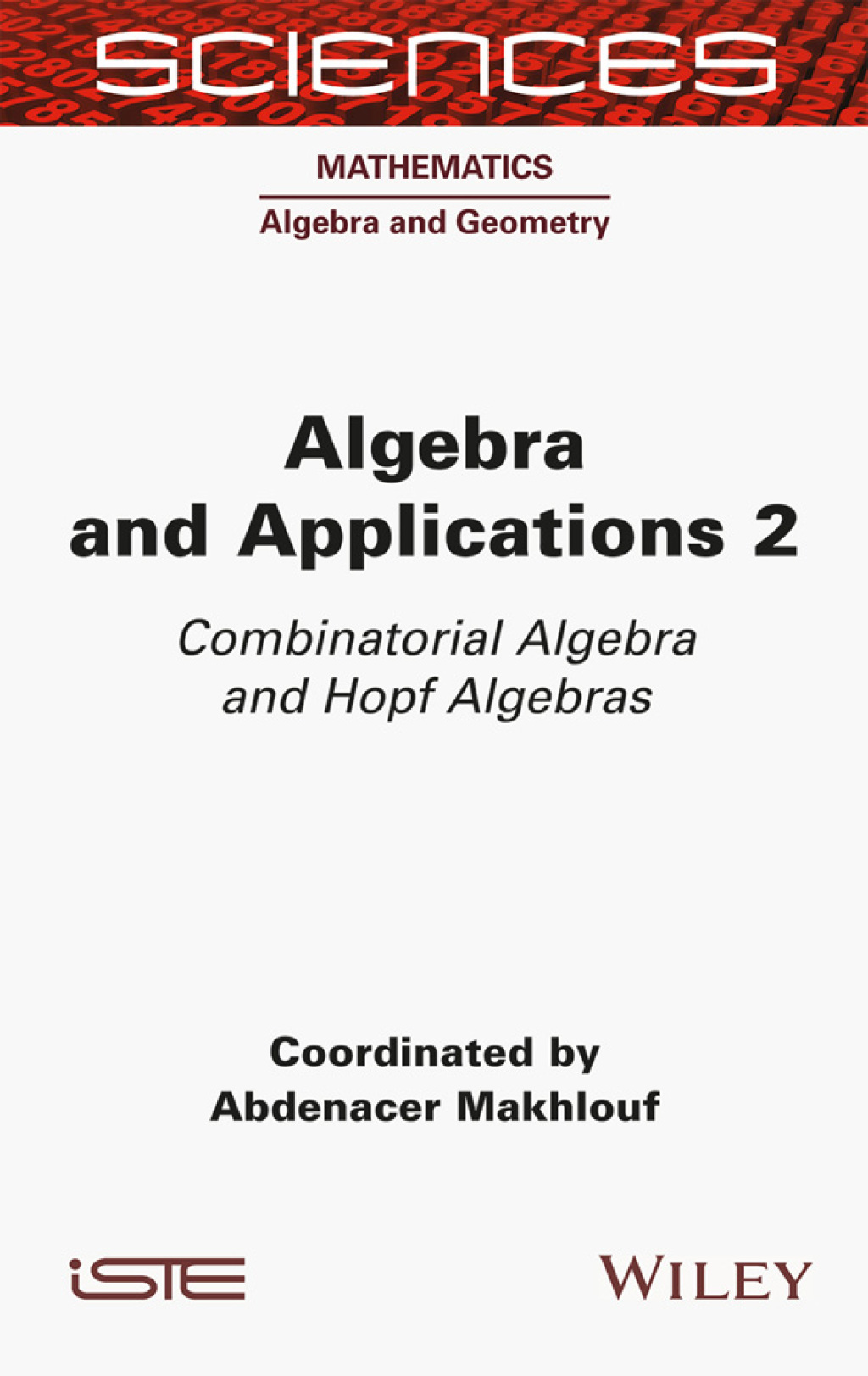 Algebra and Applications 2 Combinatorial Algebra and Hopf Algebras 1st Edition
