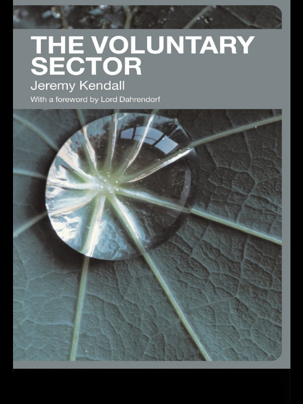 The Voluntary Sector Comparative Perspectives in the UK 1st Edition