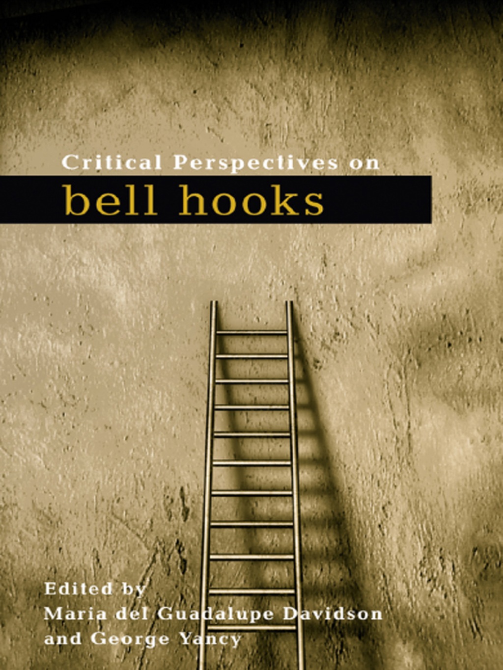 Critical Perspectives on bell hooks 1st Edition