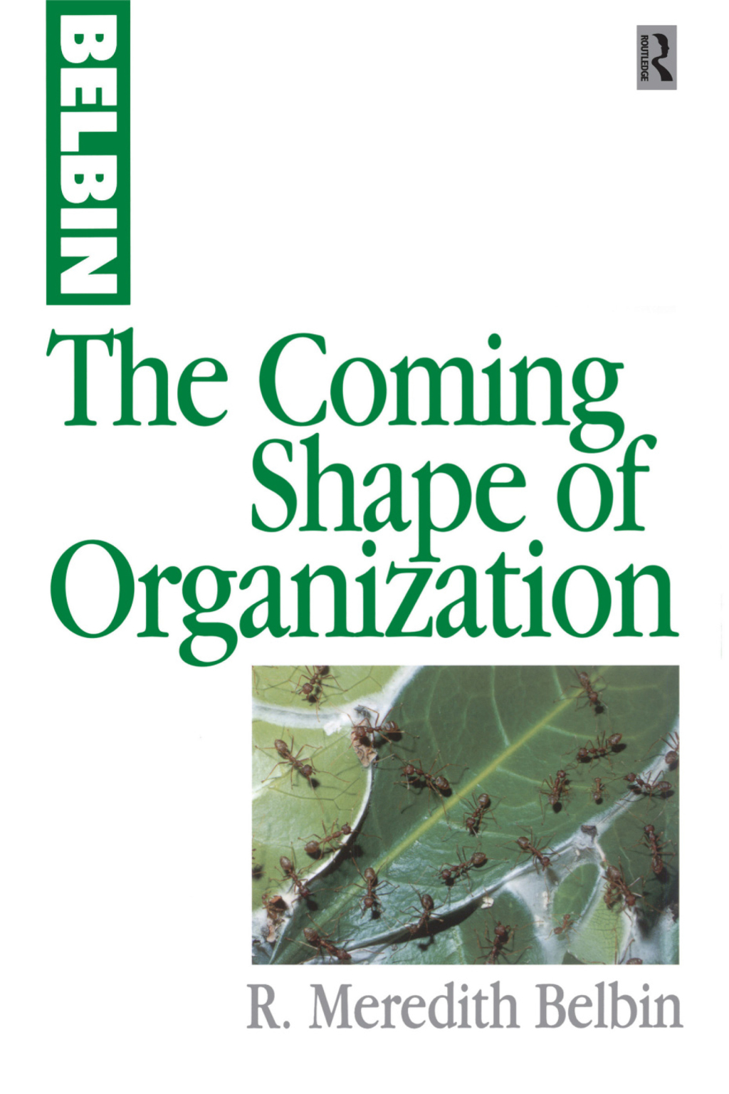The Coming Shape of Organization 1st Edition