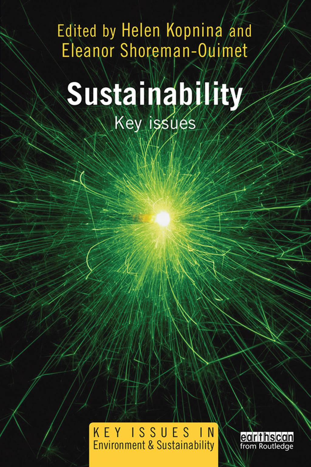 Sustainability Key Issues 1st Edition